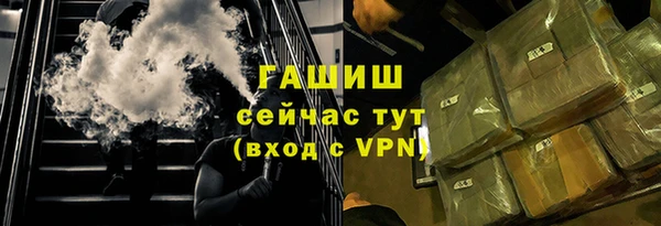 прущие грибы Медногорск