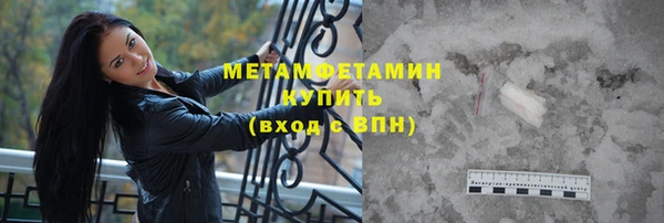 прущие грибы Медногорск