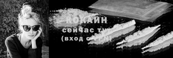прущие грибы Медногорск
