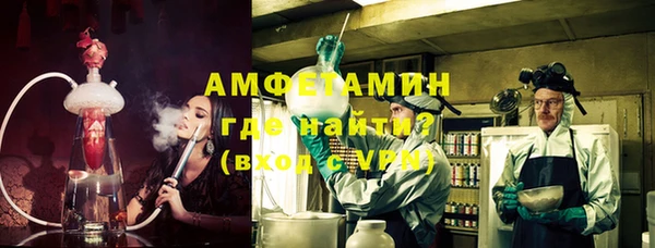 прущие грибы Медногорск